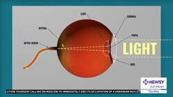 Why Does Our Vision Get Worse As We Age? News Clip