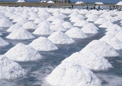 ¿Cómo se obtiene la sal? Instructional Video