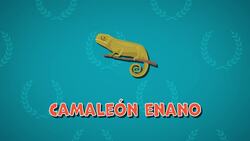 I WONDER - What Is The Smallest Reptile In The World? Me Pregunto - Cuál Es El Reptil Más Pequeño Del Mundo? Instructional Video