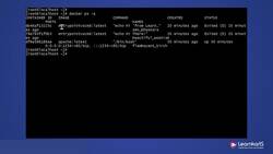 Docker Certified Associate Certification Training Course - Demo - Docker Container Logs Instructional Video