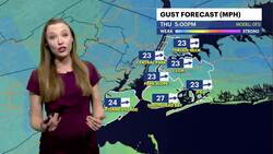 Mostly sunny, windy and cold Thanksgiving Day in The Bronx News Clip
