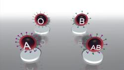 Blood type A people may be more likely to get traveler's diarrhea Instructional Video