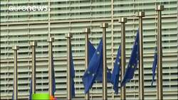 Swiss duck immigration row with the EU News Clip