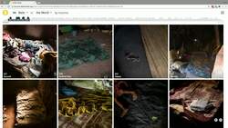 TED: See how the rest of the world lives, organized by income | Anna Rosling Rönnlund Instructional Video