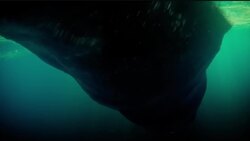 Symbolism and Interpretations of the Whale in Moby Dick Instructional Video