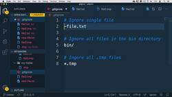 Complete Git Guide: Understand and Master Git and GitHub - Committing Previously Ignored Files Instructional Video