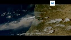 Portugal battles with fires: 62,000 hectares burned and seven lives lost News Clip