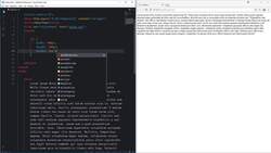 CSS Bootcamp: Master CSS (Including CSS Grid/Flexbox) - Overflow Instructional Video