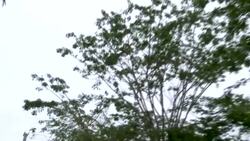 CLEAN : Images of Colombian vacation spot where Paraguay anti-drug prosecutor was killed News Clip