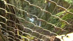 Reporter's notebook: Telling stories of tragedy and loss News Clip