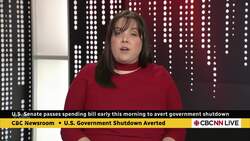 U.S. senate averts government shutdown, passes spending bill News Clip