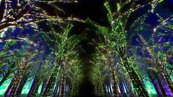 Neon Tree illumination Stock Footage