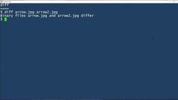 How to use the diff command: 2-Minute Linux Tips Instructional Video