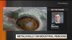 Copper Hits Highest Level Since 2011 as Metals Rally News Clip