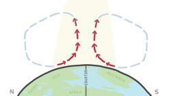 This Atom Can Predict The Future Instructional Video