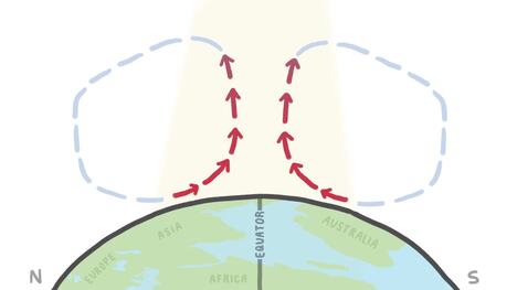 This Atom Can Predict The Future