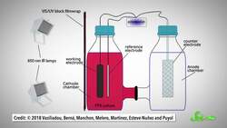 Purple Bacteria: Turning Poop Into Biofuel Instructional Video