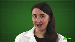 Mimics, Twins, and Doppelgӓngers... Obviously | SciShow Quiz Show Instructional Video