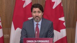 Trudeau discusses how families should plan for the Christmas holidays News Clip
