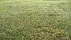 Dew is Condensation Instructional Video