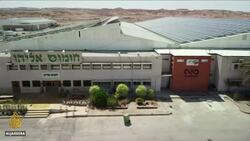 Palestinian activists hacked by Israeli firm NSO spyware: Report News Clip