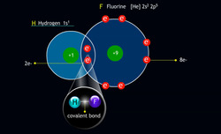 Covalent Bonds: Sharing Electrons for Stability Instructional Video