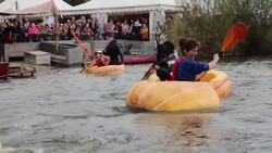Belgians jump into giant hollowed-out pumpkins for annual regatta News Clip