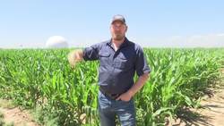 Researchers go high tech to aid farm water use News Clip