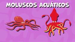 I WONDER - Do All Mollusks Live On Land? Me Pregunto - Todos Los Moluscos Viven En Tierra? Instructional Video