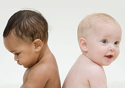 Phenotype Instructional Video