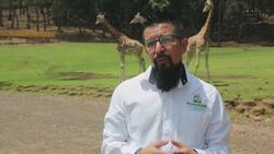 Mexico biopark struggles to feed its animals Instructional Video