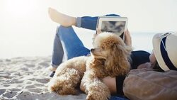 Woman traveler is holding touch pad, while is relaxing outdoors during his trip on the sea. Stock Footage