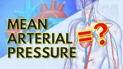 Blood Pressure and Mean Arterial Pressure Instructional Video
