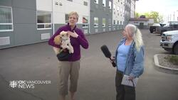 Crews working to save Fort Nelson, B.C., from wildfire News Clip