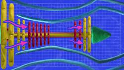 TED-Ed: How do jetpacks work? And why don't we all have them? | Richard Browning Instructional Video