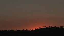 Sunrise over Mornington sanctuary Stock Footage