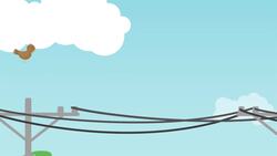 I WONDER - How Can Birds Sit On Power Lines? Instructional Video