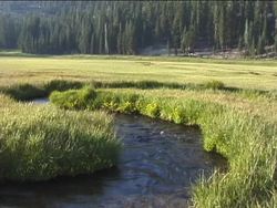 The Water Cycle: Summing Up Instructional Video