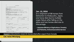 At least 21 horses died after export from Canada to Japan, documents show News Clip