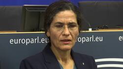 Kurdish leader to EU: halt diplomacy with Turkey Instructional Video