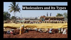 Understanding Wholesalers and Their Types Instructional Video