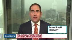 ECB Sees Economic Expansion With Increased Downside Risks News Clip