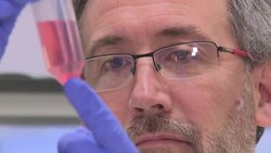 Scientist working with samples in a lab to test coronavirus treatments News Clip