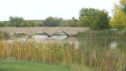 Dog owners growling over plans for road through off-leash park News Clip