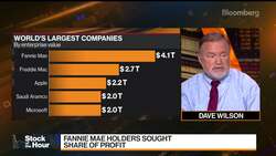 Fannie and Freddie Shares Plunge on Supreme Court Ruling News Clip