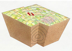 Epicentro Instructional Video