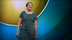 Solar energy is even cheaper than you think | Jenny Chase Instructional Video