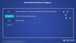 Salesforce Platform App Builder Certification Training - Use Global Picklist in Objects Instructional Video