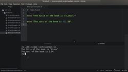 Bash Shell Scripting - Escape Character & Line Continuation Character Instructional Video