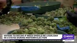 Some States Are Voting On Legalizing Marijuana News Clip